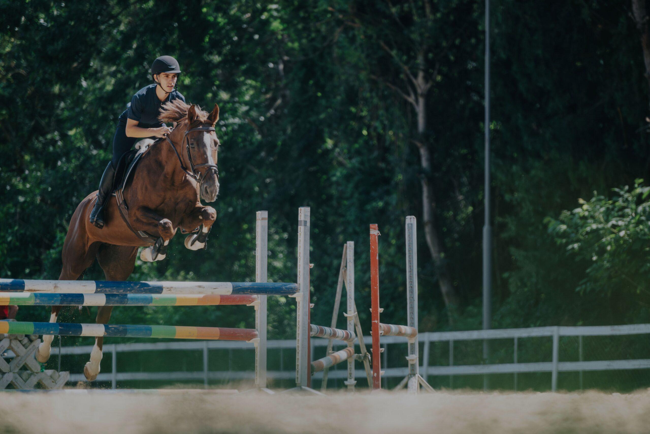 Jumping Horses for sale – horse and rider training over a colorful jump in an outdoor arena