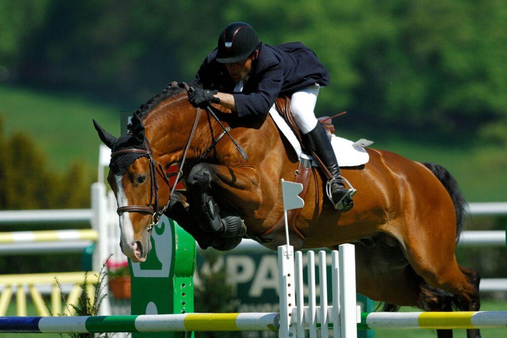 Jumping Horses for sale – athletic horse and rider clearing an obstacle during a showjumping round